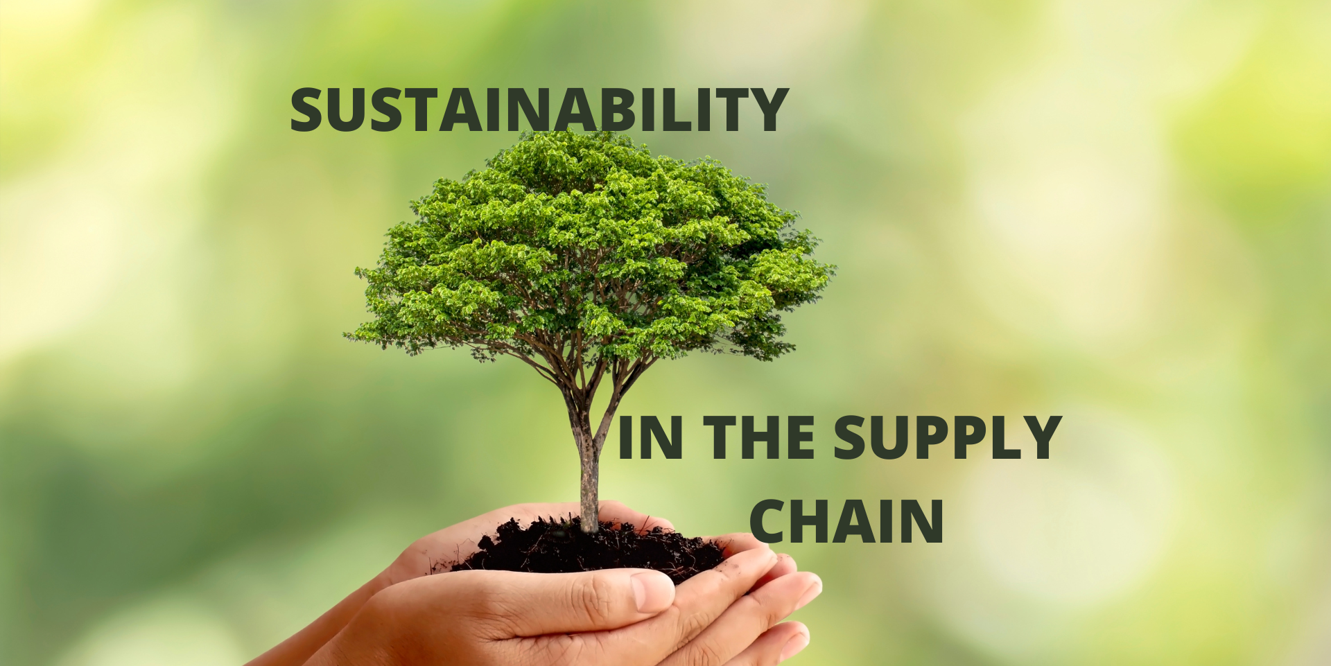 thumbnails Sustainability along the Supply Chain